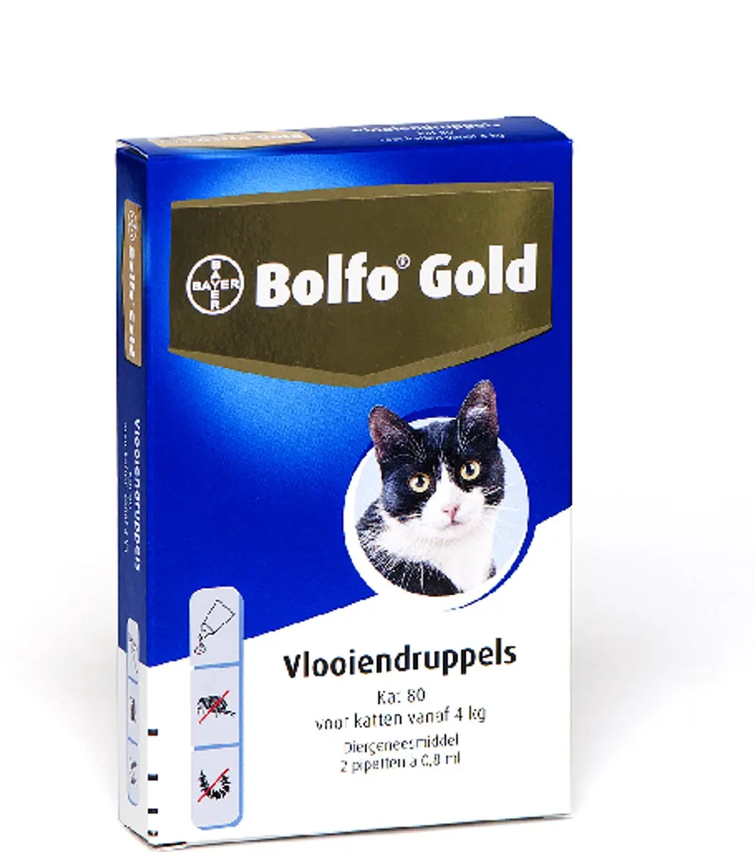 Bolfo Elanco Vlooiendruppels Kat - 64ml (2 Pipetten) - afbeelding 4 van 4