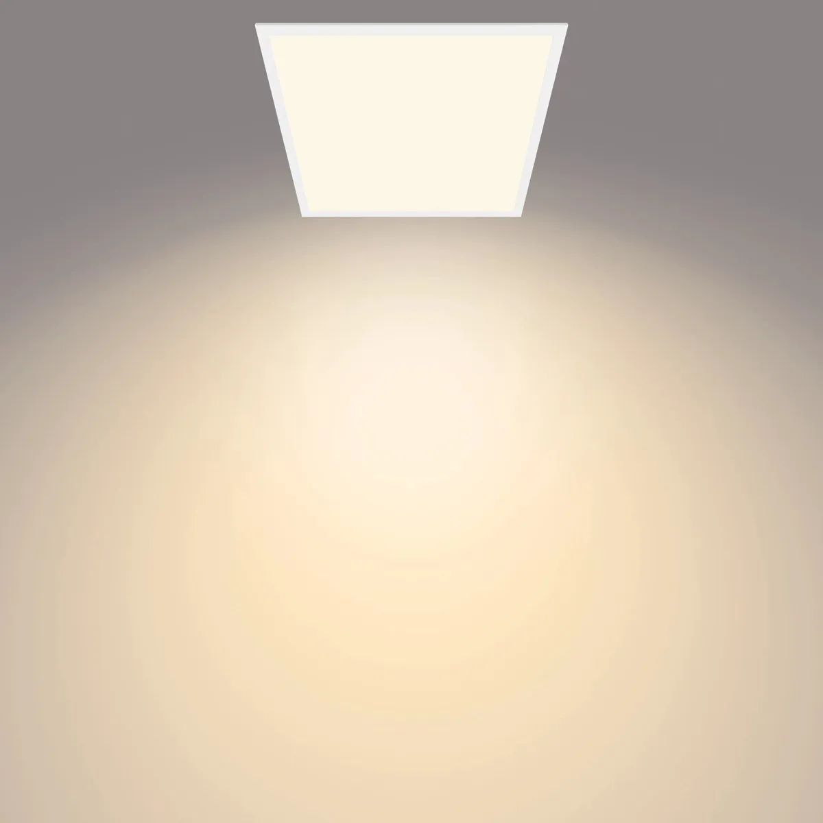 Philips Touch Plafondlamp Wit - 60cm