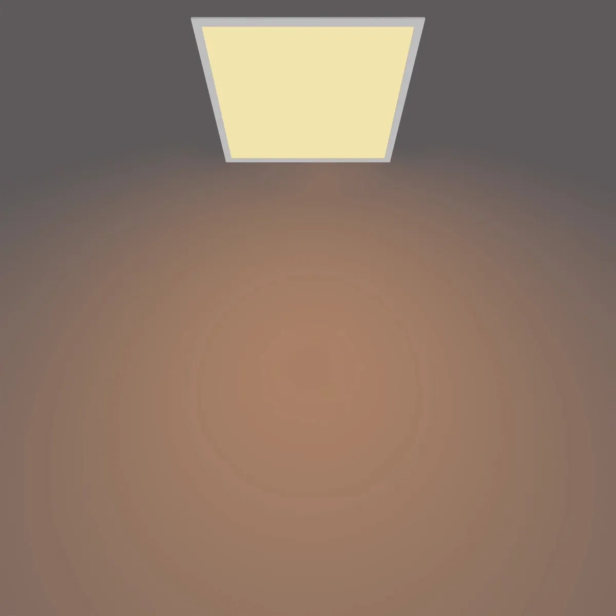 Philips Touch Plafondlamp Wit - 60cm