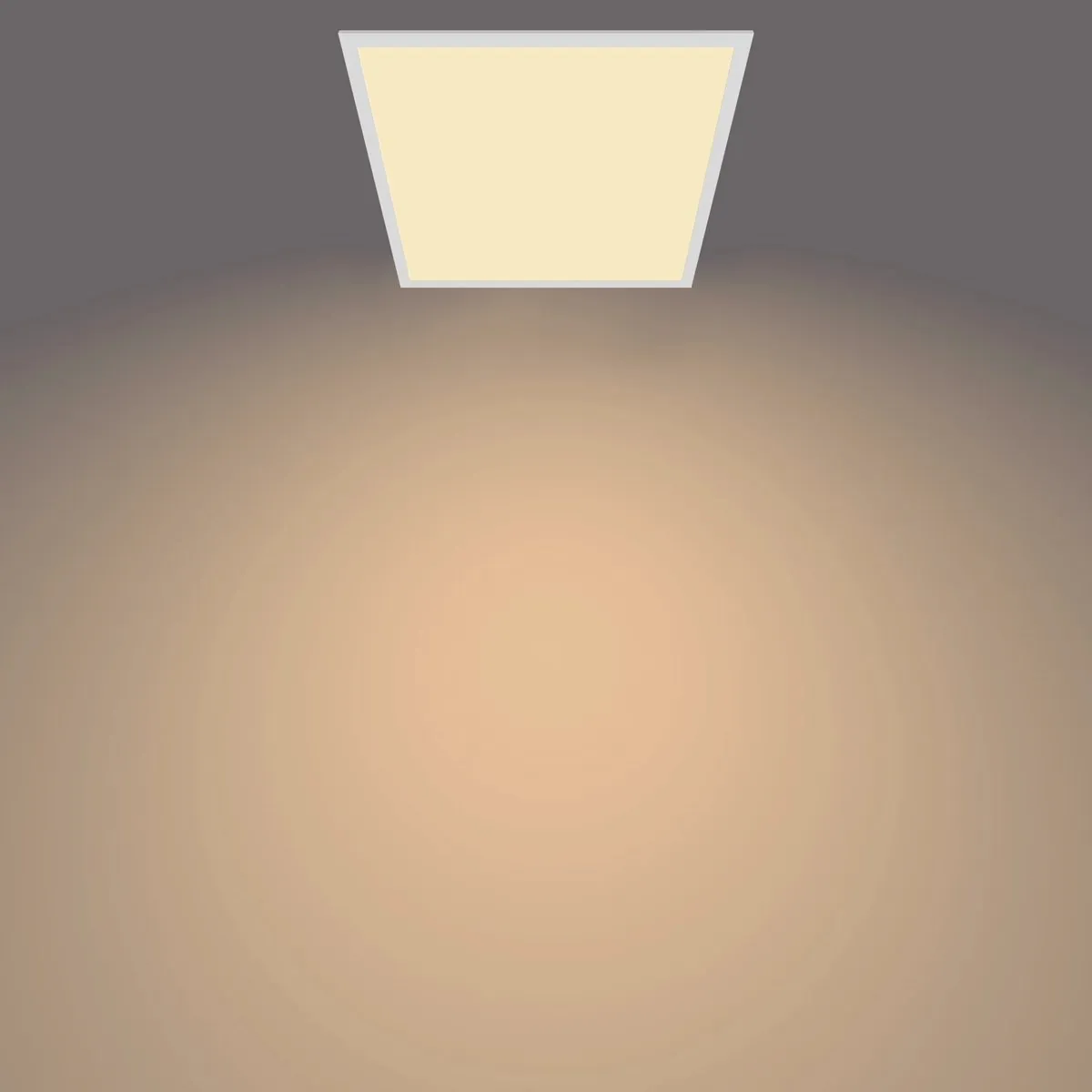 Philips Touch Plafondlamp Wit - 60cm