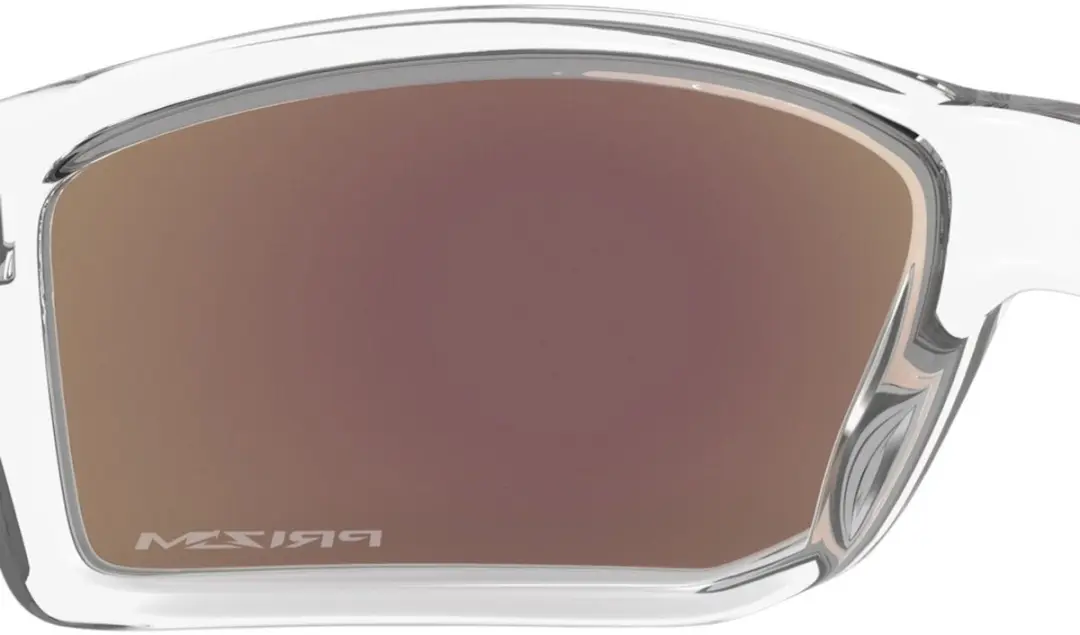 Oakley Gibston Zonnebril - Transparant