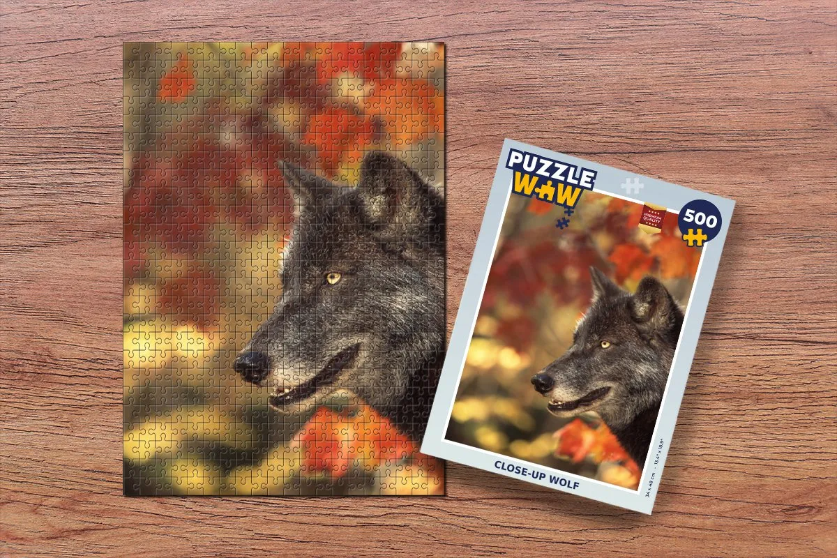 PuzzleWow Close Up Bladeren Legpuzzel 500 Stuks - Multicolor