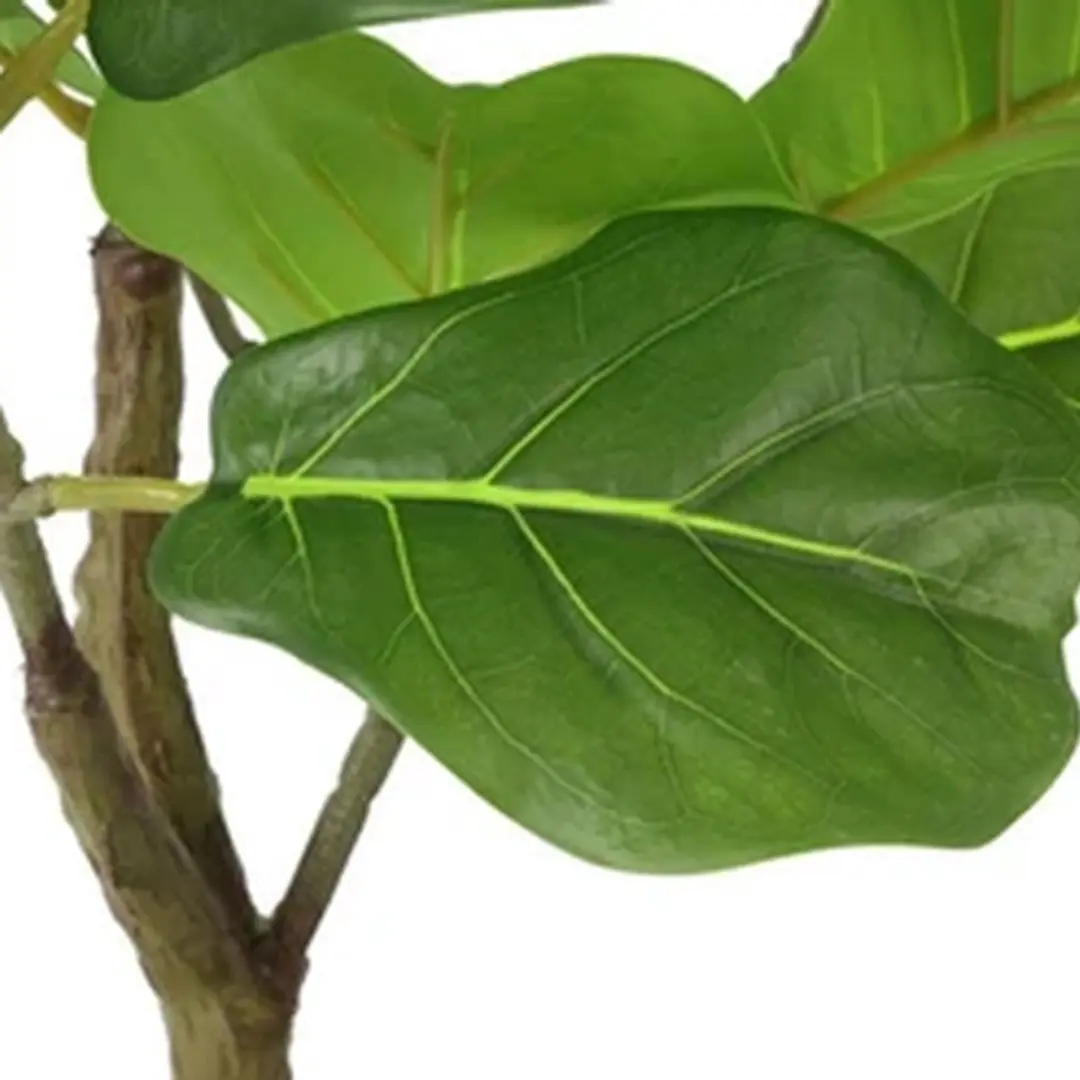 Countryfield Kunstpl Ficus Lyrata 15x15x66cm - Groen - afbeelding 2 van 3