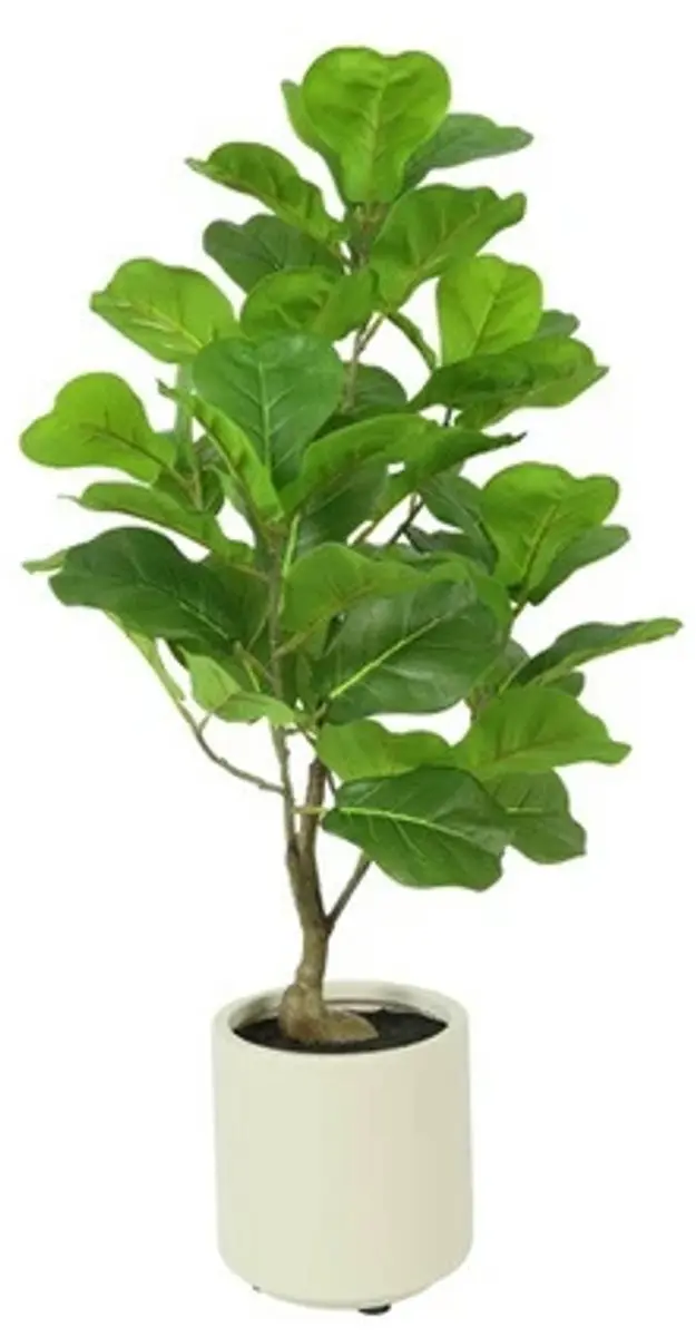 Countryfield Kunstpl Ficus Lyrata 15x15x66cm