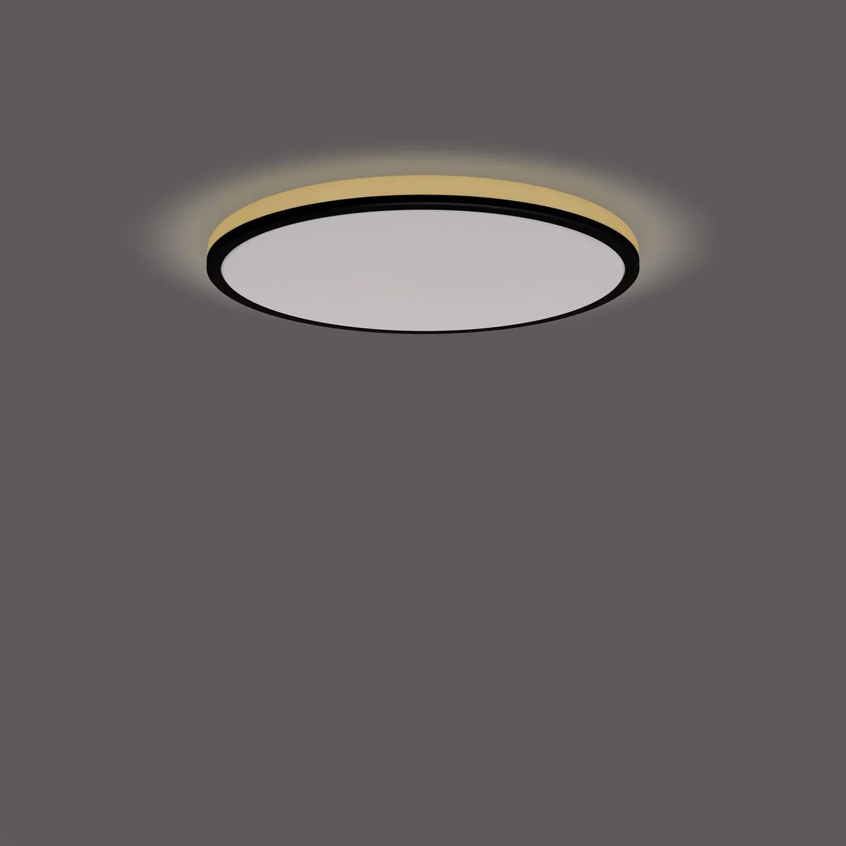 Philips Ozziet Plafondlamp 18W - Zwart - afbeelding 6 van 6