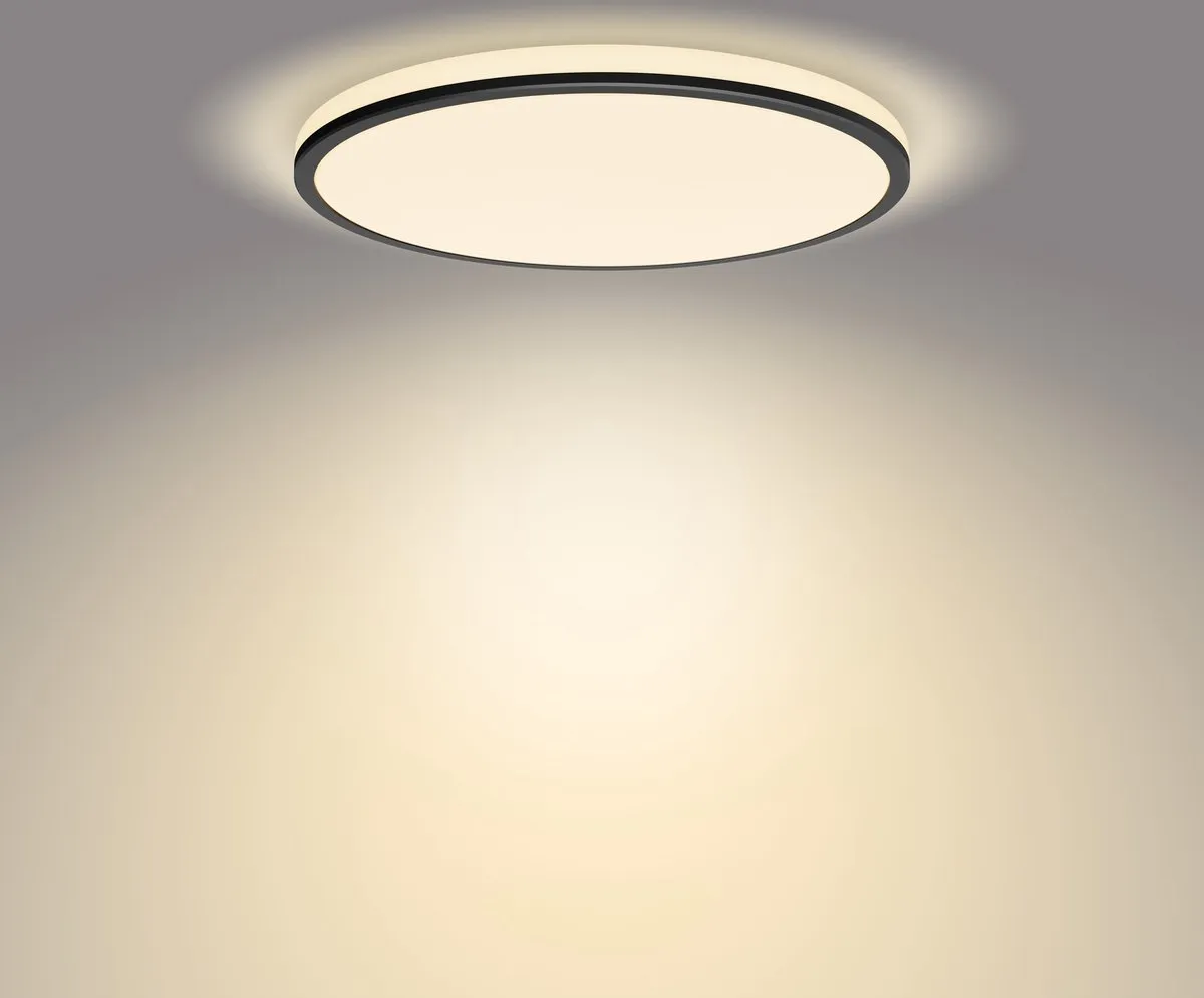 Philips Ozziet Plafondlamp 18W - Zwart