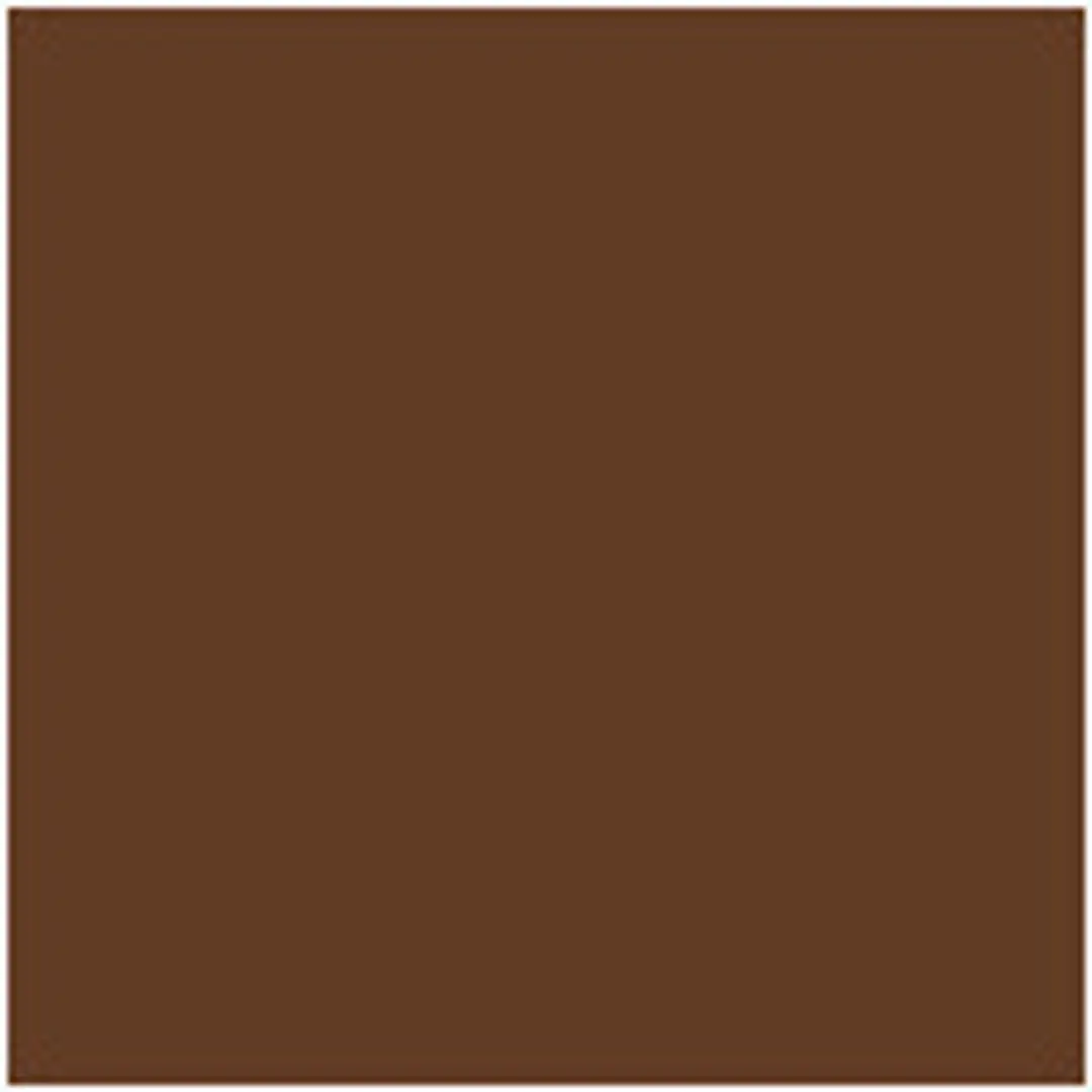 Essence Foundation 310