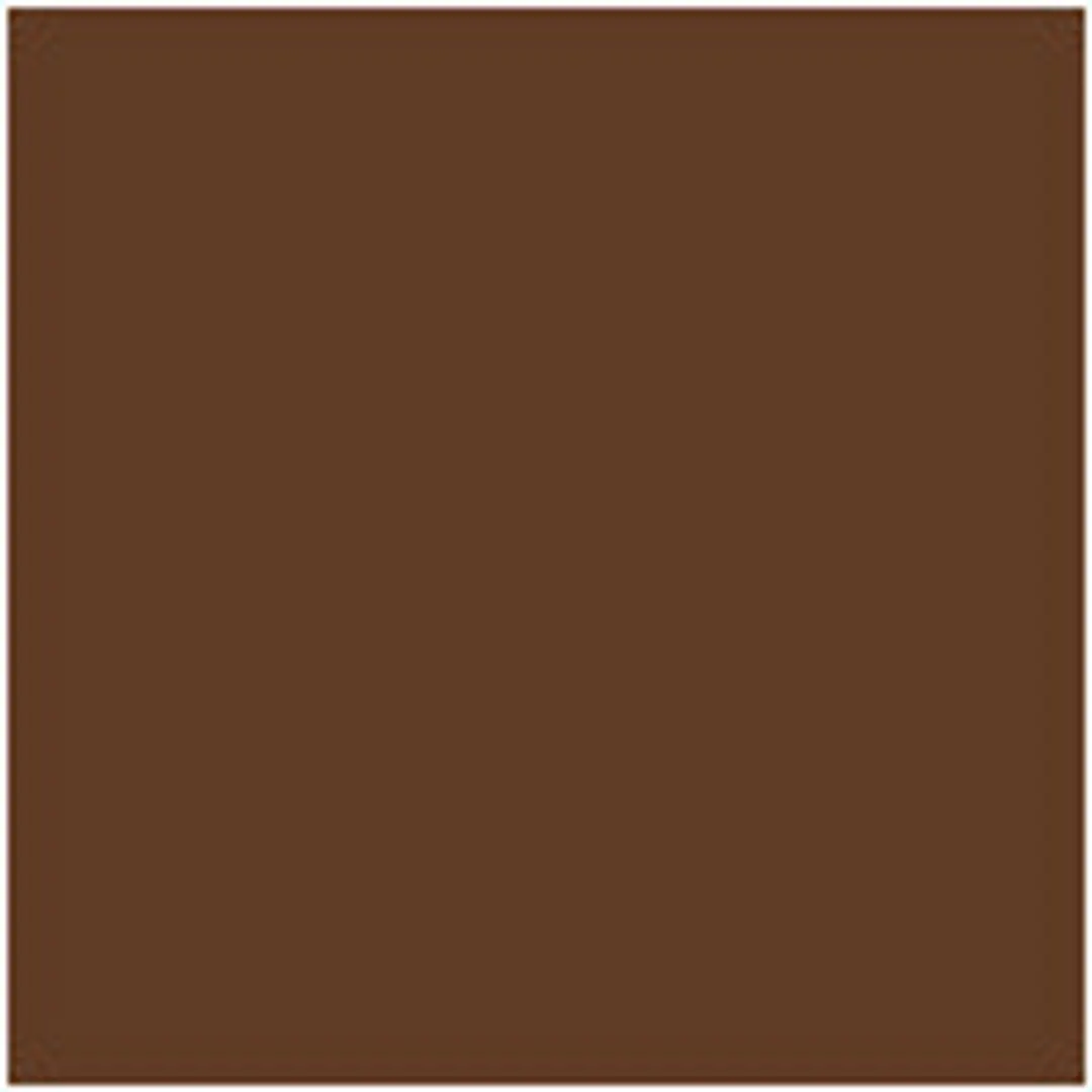Essence Silky Cushion Foundation 310 Marron