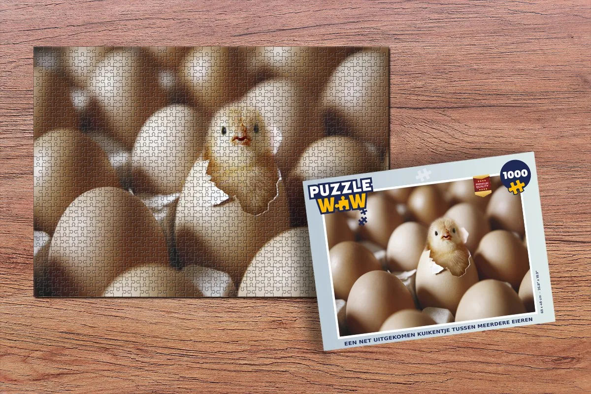 PuzzleWow Legpuzzel Een Net Uitgekomen Kuikentje 1000 Stuks - Multicolor