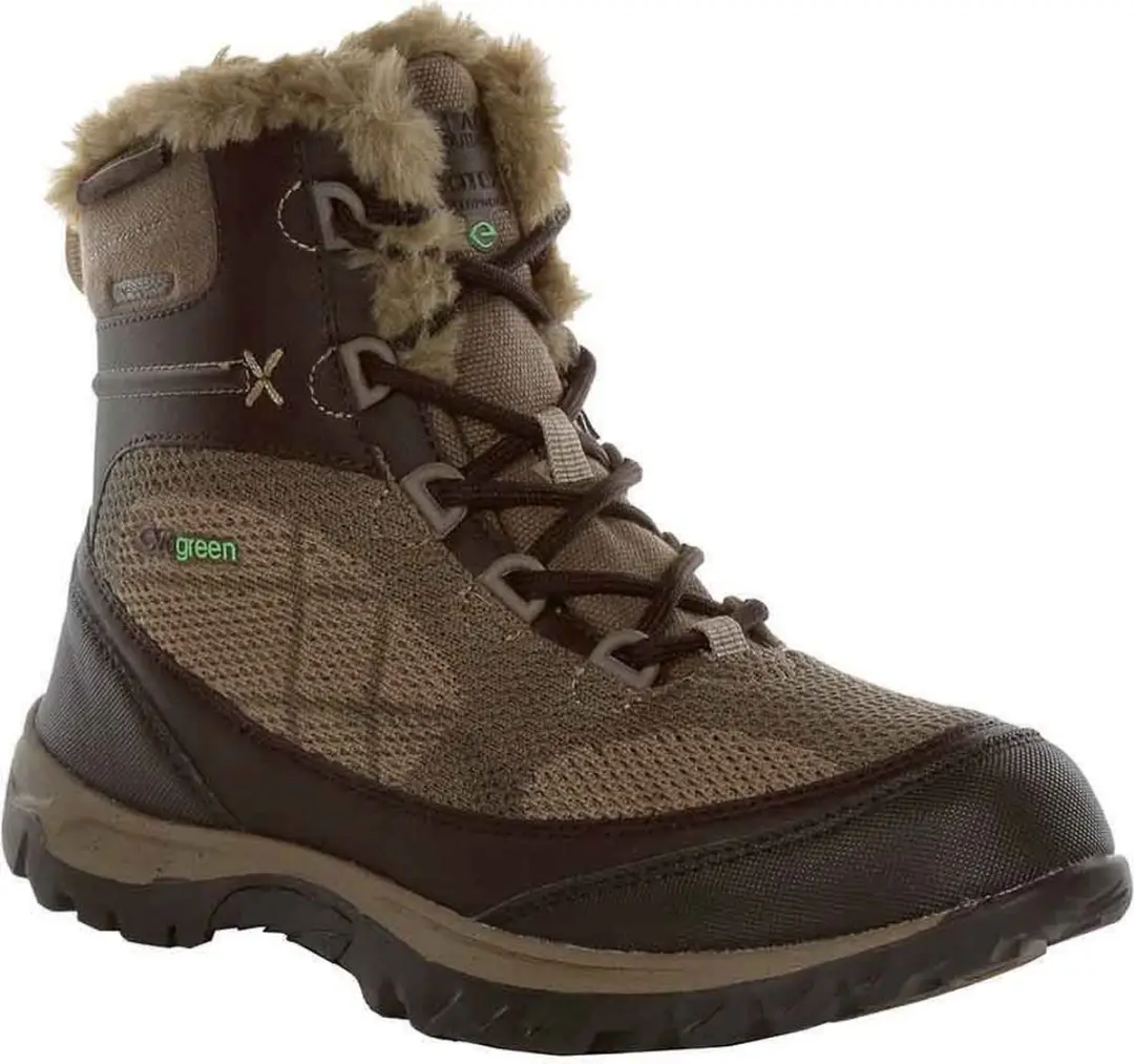 Regatta Lady Hawthorn Evo Wandelschoenen - Bruin - afbeelding 2 van 6