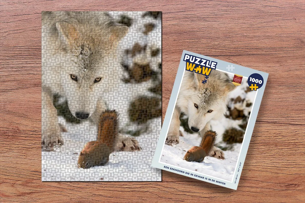 PuzzleWow Legpuzzel 1000 Stuks