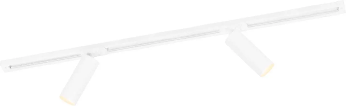 Ledvion LED Railverlichting 1M