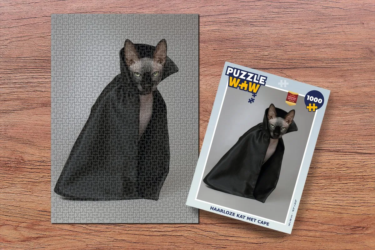 PuzzleWow Kat Cape Legpuzzel 1000 Stuks - Multicolor