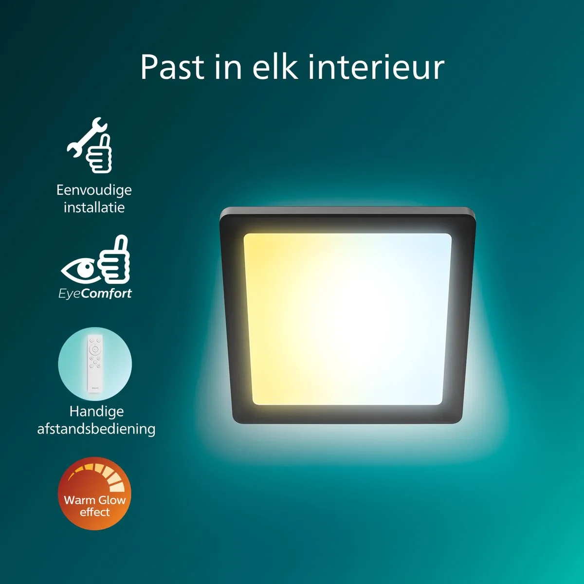 Philips Valen Plafondlamp 13W - Zwart