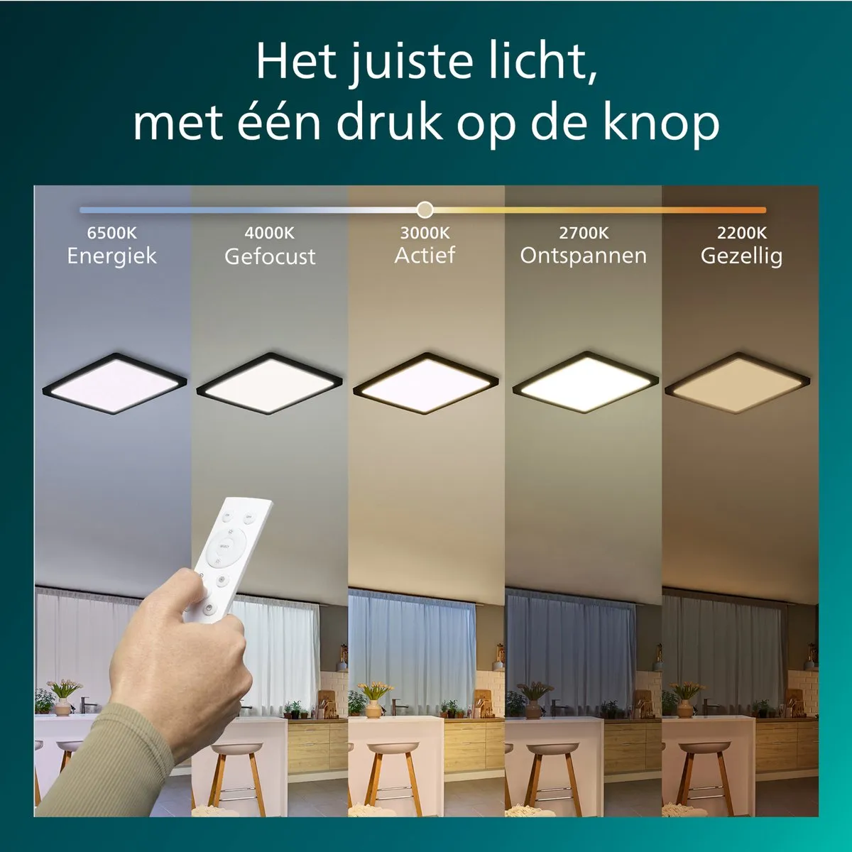 Philips Valen Plafondlamp 13W - Zwart