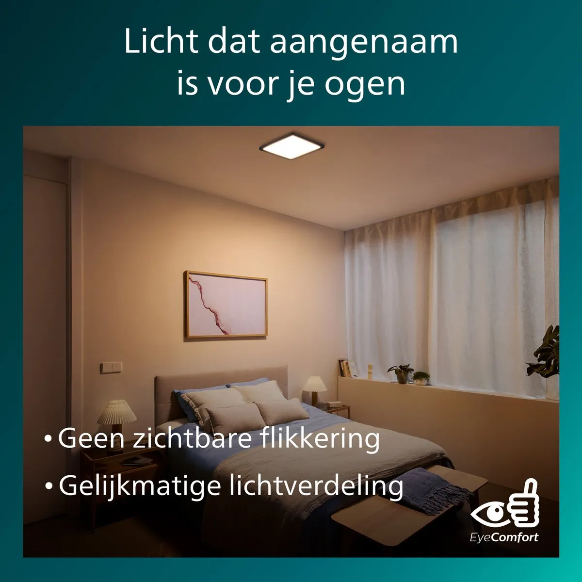 Philips Valen Plafondlamp 13W - Zwart