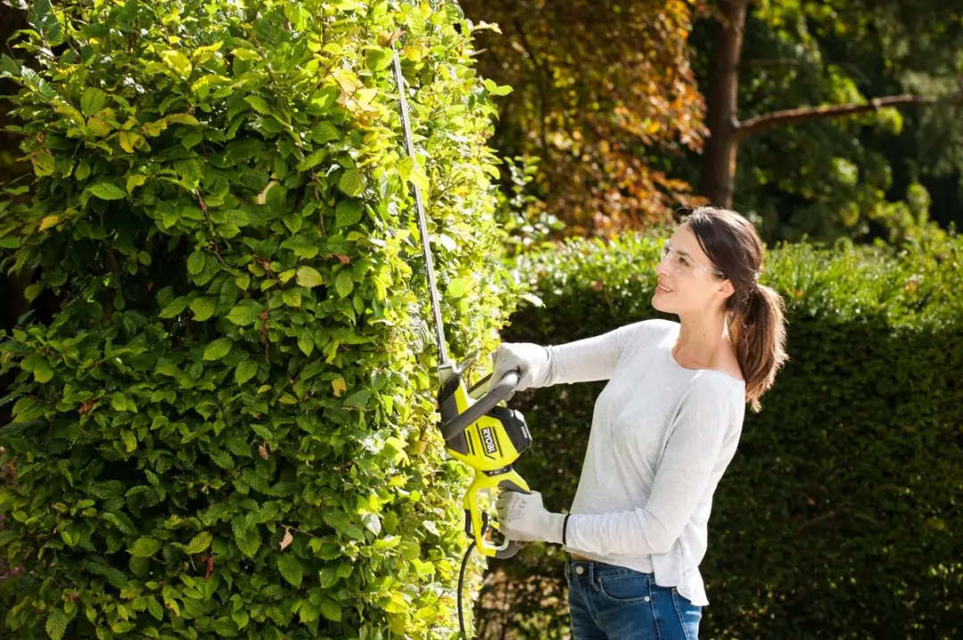 Ryobi RHT5655RS Elektrische Heggenschaar 550W 55cm - afbeelding 3 van 3