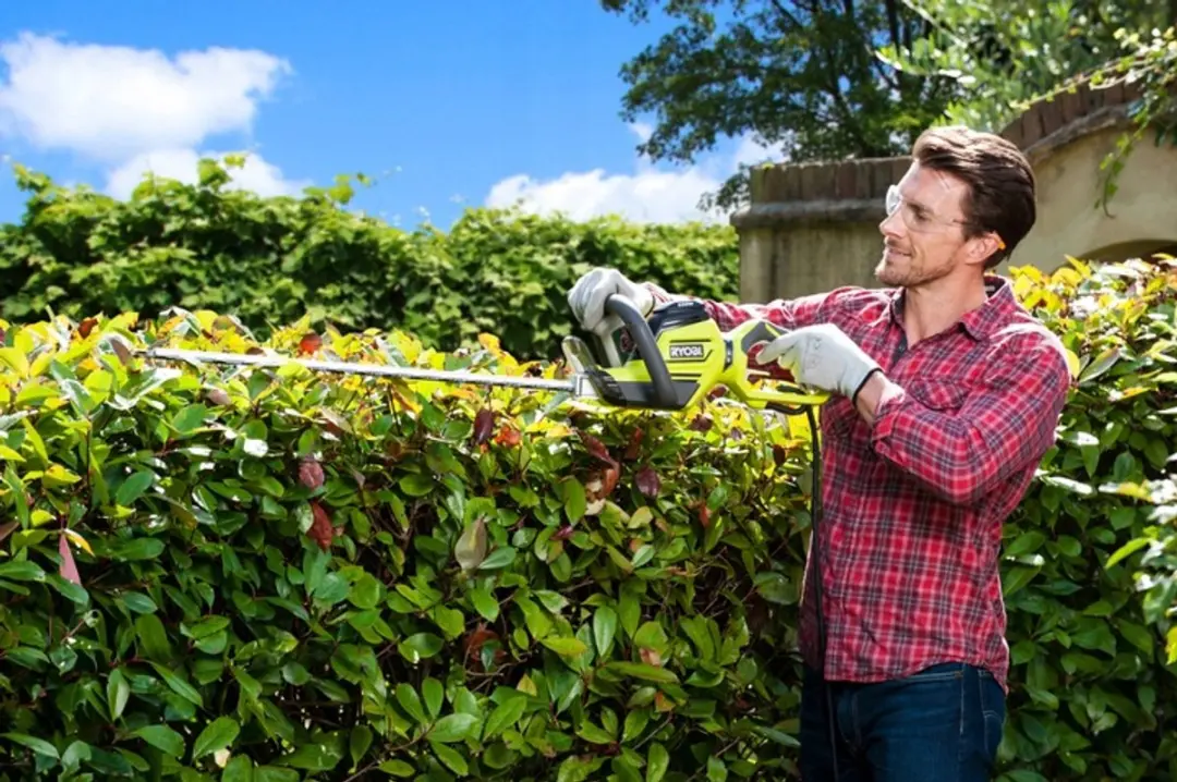 Ryobi RHT5655RS Elektrische Heggenschaar 550W 55cm - afbeelding 2 van 3