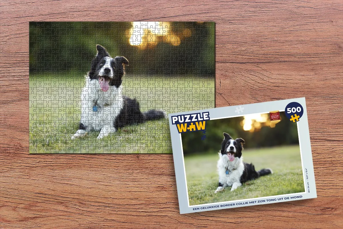 PuzzleWow Legpuzzel Border Collie 500 Stuks - Multicolor
