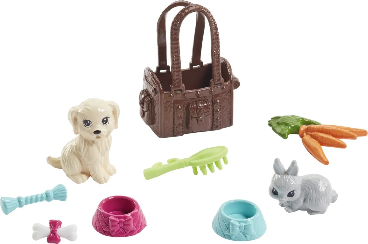 Barbie Pets & Accessoires FPR48 - Meerkleurig
