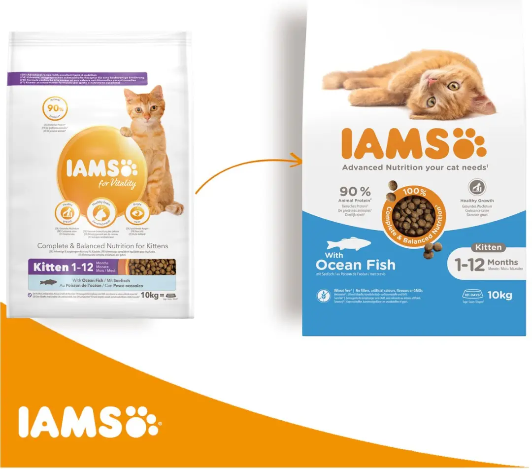 Iams Kitten & Junior Kattenvoer 10kg