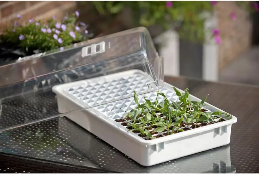 Nature Kweekkas 22x55x31cm - Wit - inclusief zaadtray - afbeelding 2 van 3