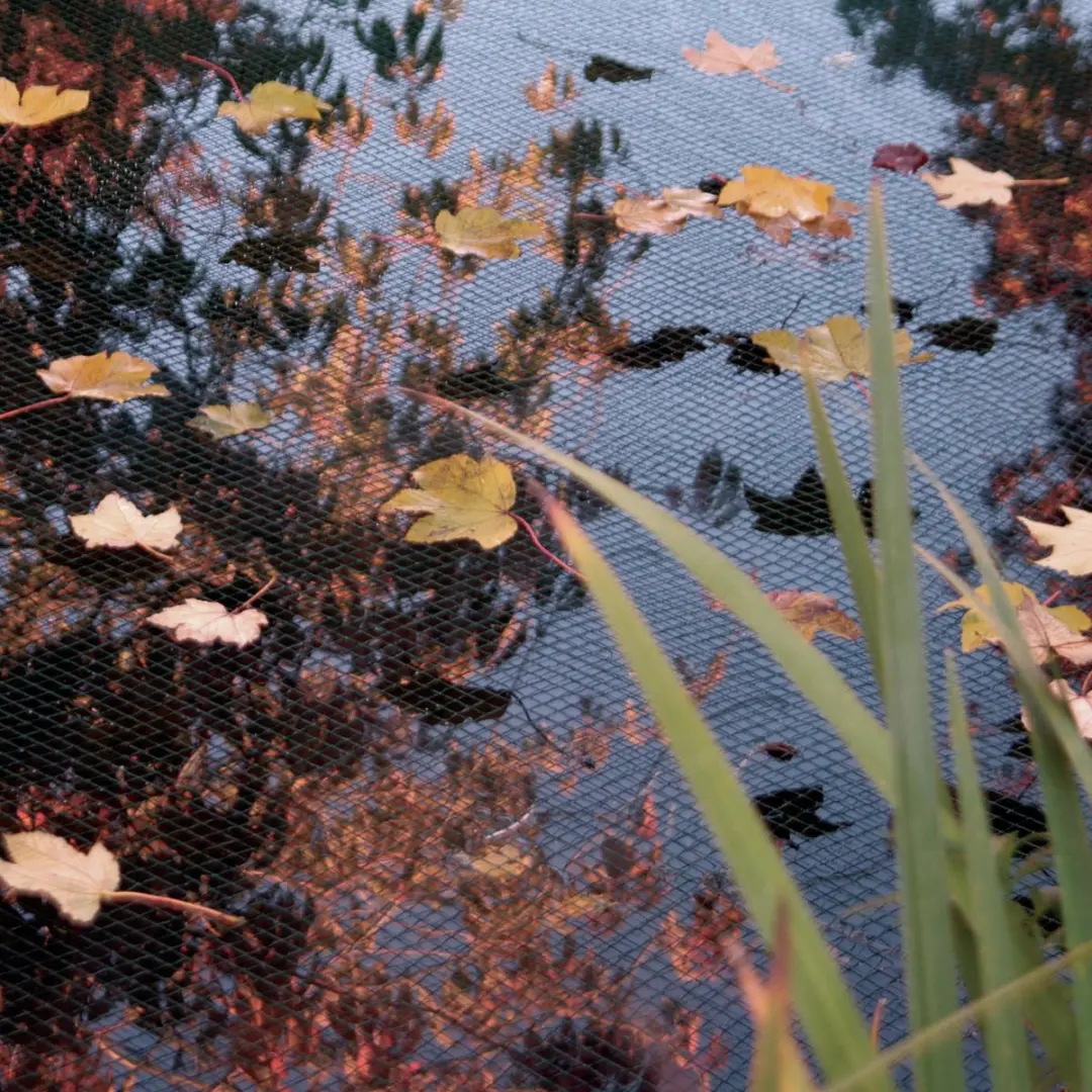 Ubbink Vijverafdeknet 10x6m - Groen - afbeelding 2 van 3