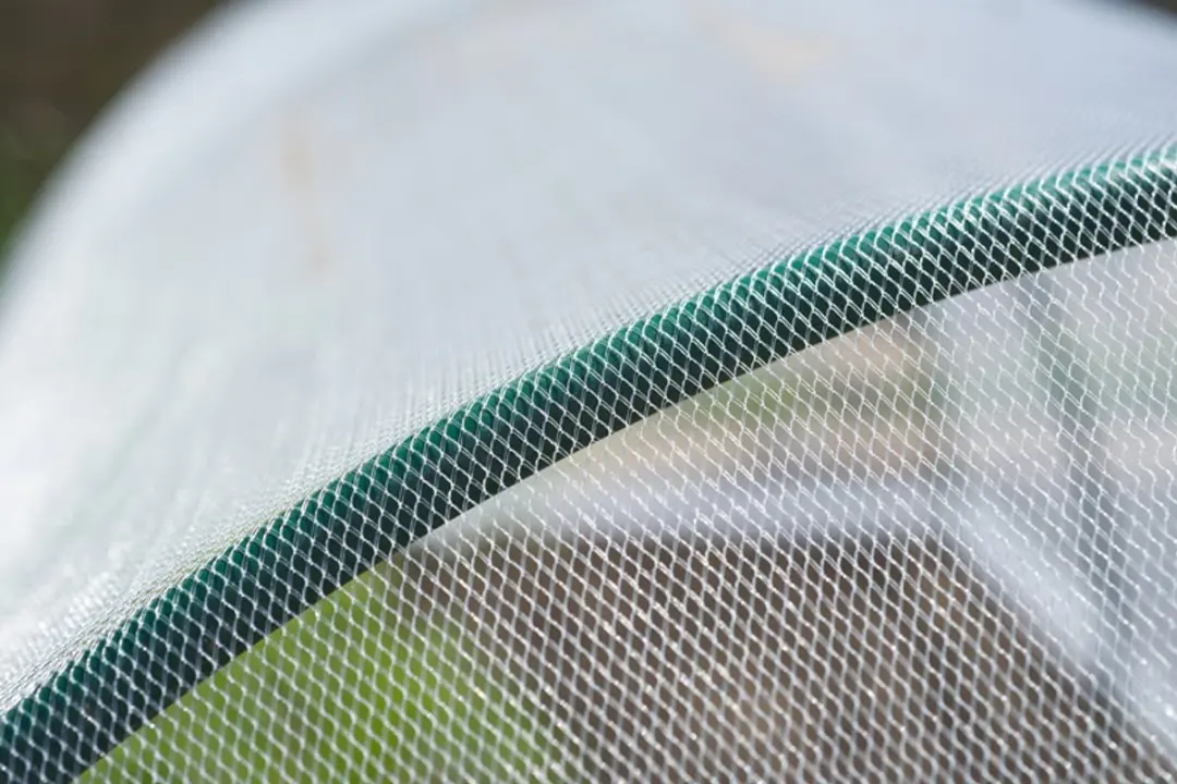 Nature Anti-insectennet 2x10m - Transparant - afbeelding 6 van 6