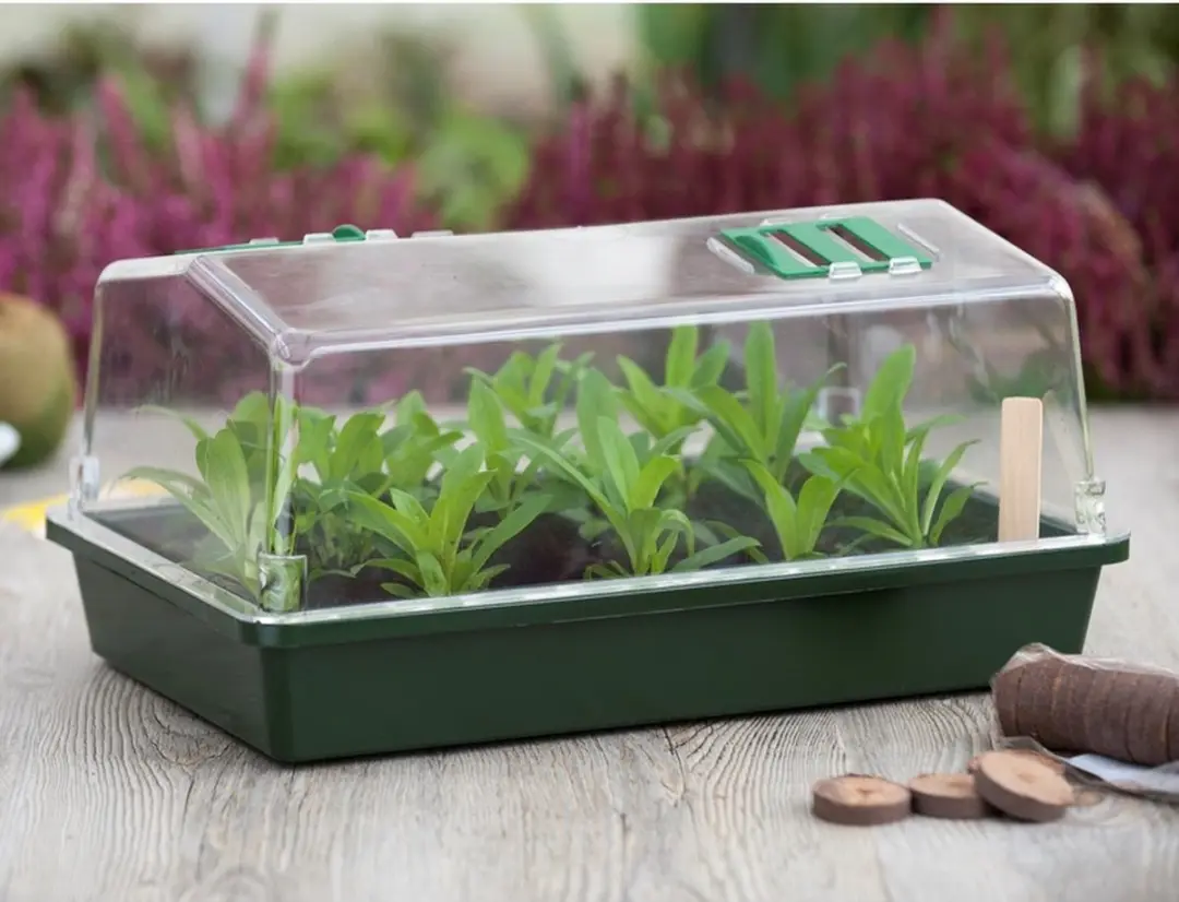 Nature Mini-Kweekkas 22x55x31cm - Groen - afbeelding 3 van 3