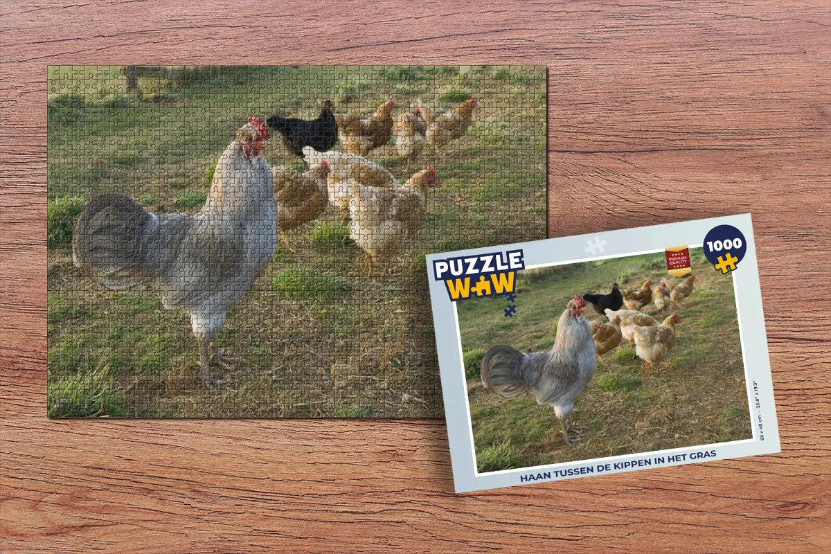 PuzzleWow Legpuzzel Haan tussen de kippen 1000 Stuks - Multicolor