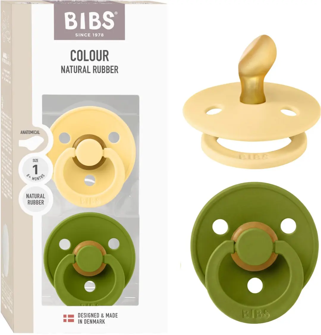 BIBS Colour Fopspeen Anatomisch 2 Stuks