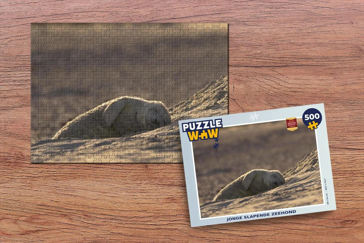 PuzzleWow Zeehond Legpuzzel 500 Stuks - Multicolor