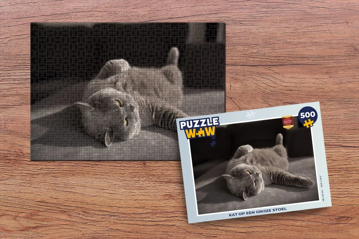 PuzzleWow Poes Legpuzzel 500 Stuks - Multicolor