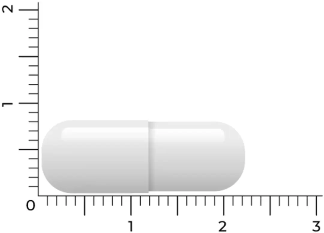 Vitakruid Magnesium Tauraat met P-5-P 30 Vegancapsules