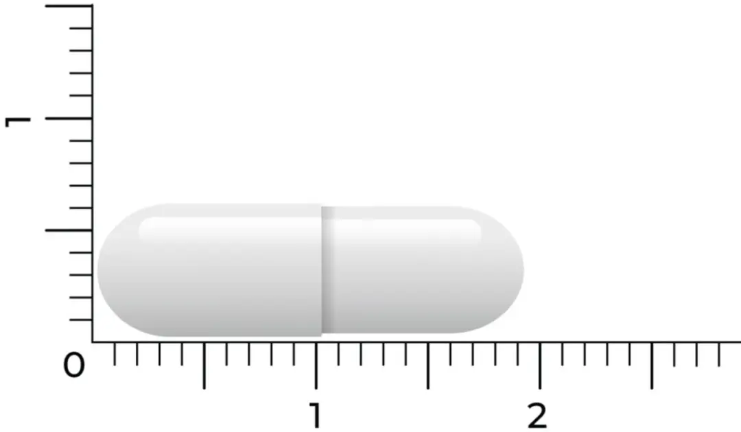 Vitakruid Lactase Optiferm 3000 FCC - 180 Vegancapsules