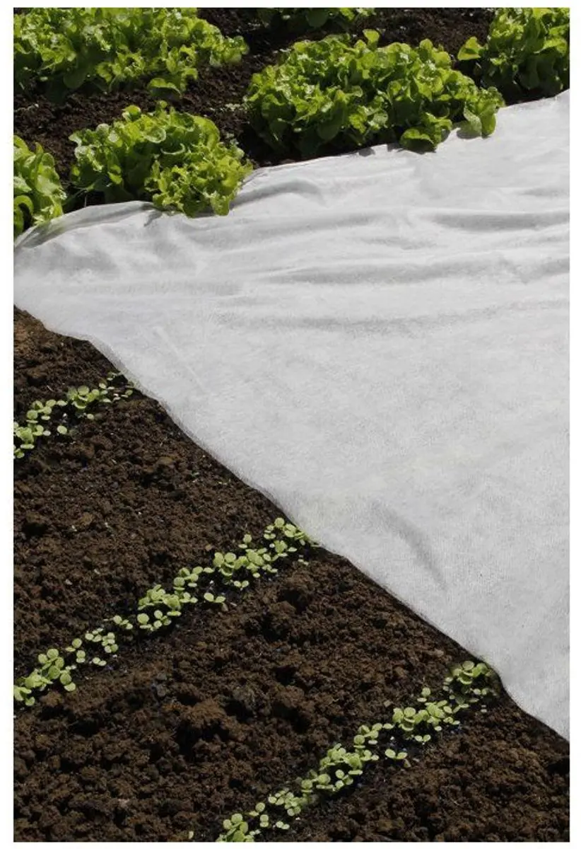 Nature Afdekvlies voor Zaailingen 2x10m - 17g/m² Wit - afbeelding 4 van 4