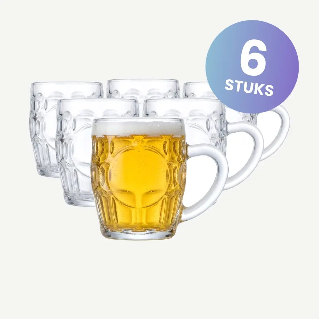 Onis Sintra Bierpullen 29cl - Set van 12
