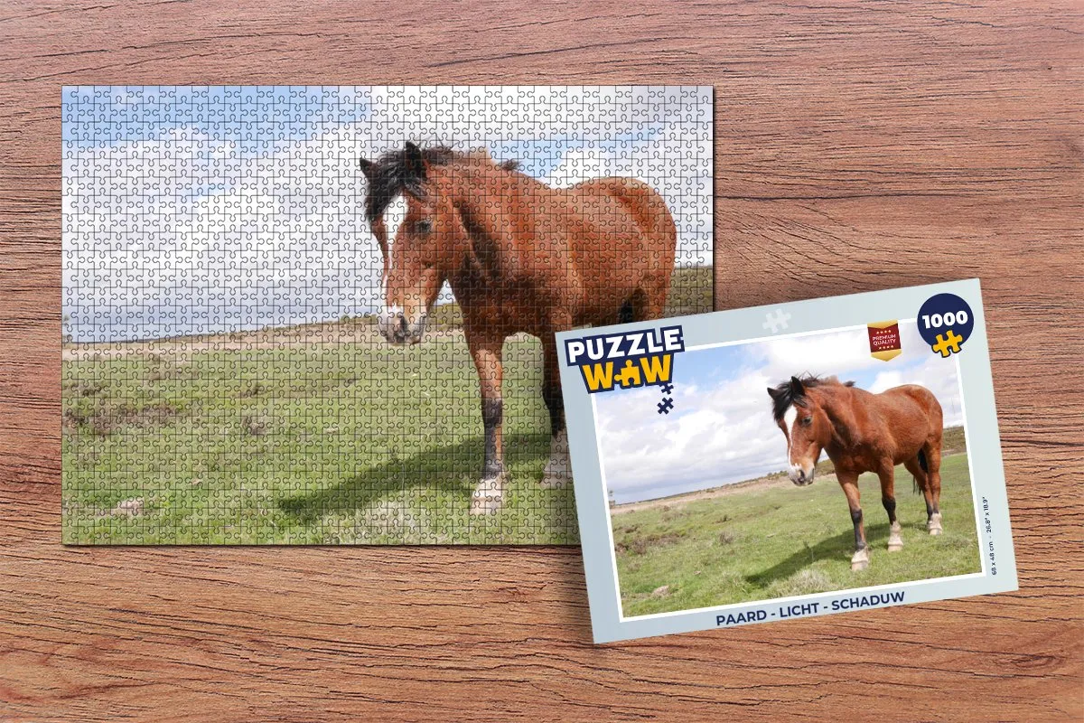 PuzzleWow Paard Licht Schaduw Legpuzzel 1000 Stuks - Multicolor