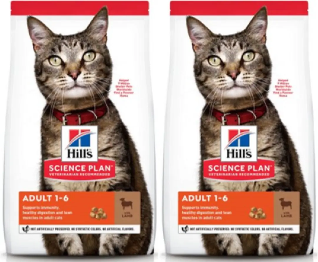 2x Hill's
