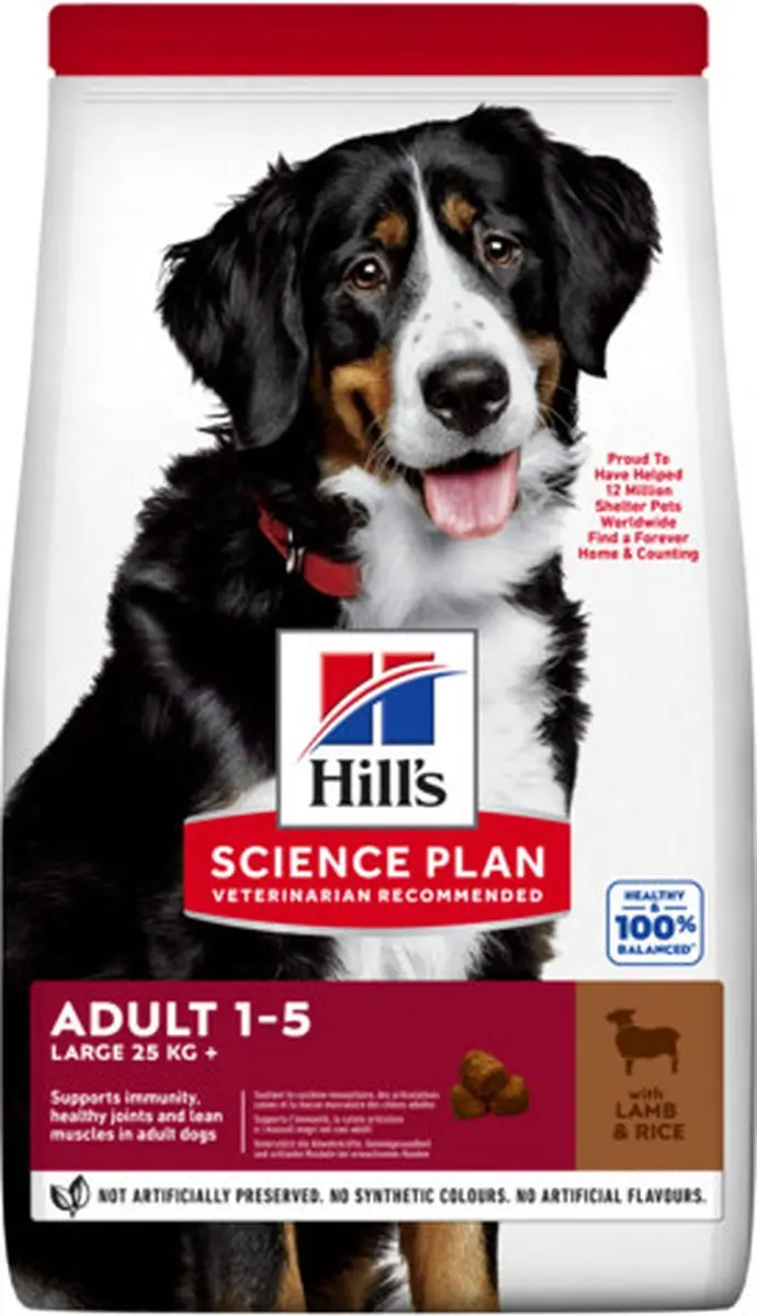 Hill's Science Plan dog adult L lamb&rice 12kg