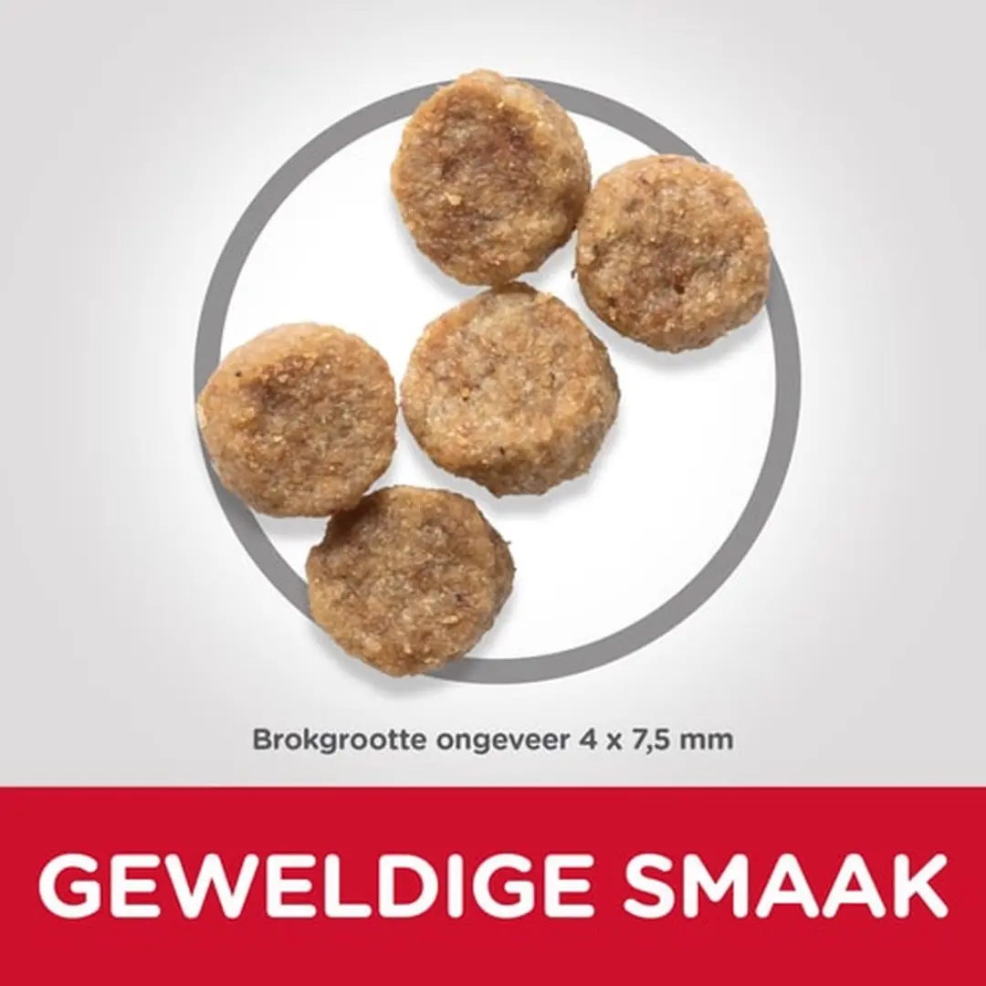 Hill's Science Plan Small & Mini Mature 7+ Hondenvoer Kip - 12 kg (4x3kg)