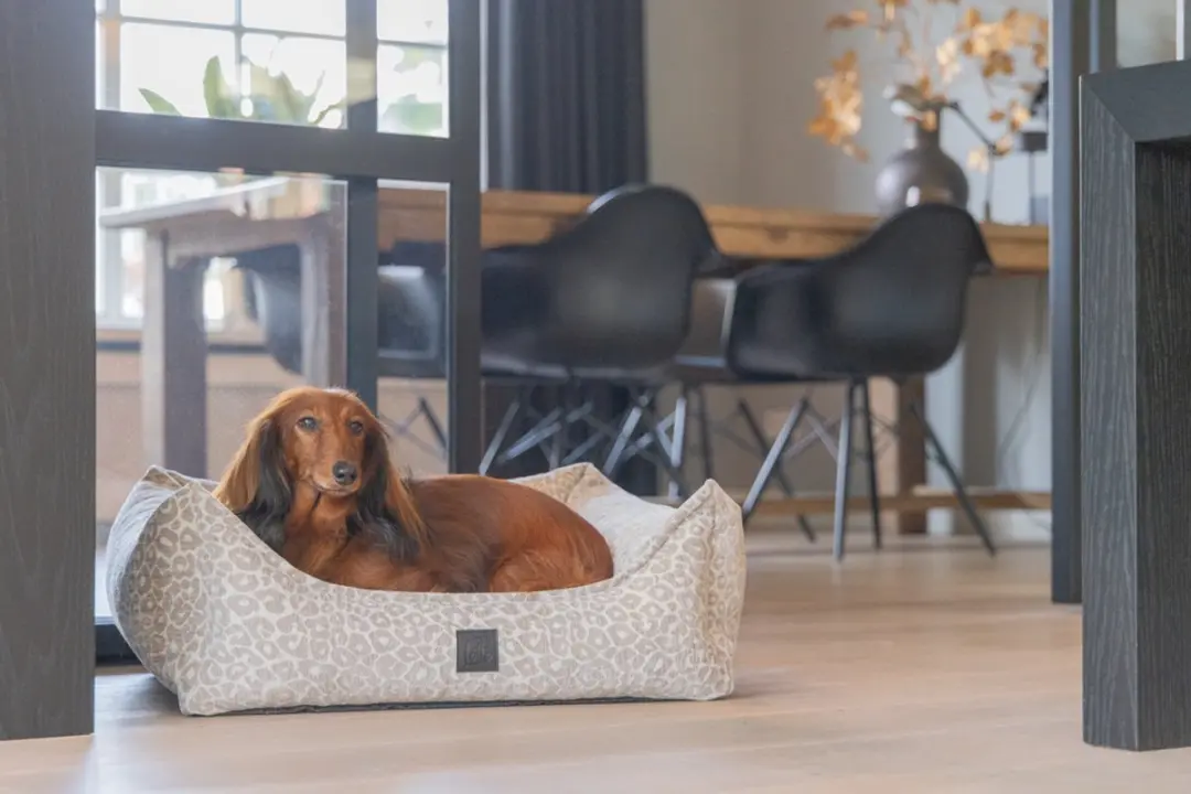 Designed by Lotte Wild Essence Orthopedische Hondenmand - 65x60x24cm