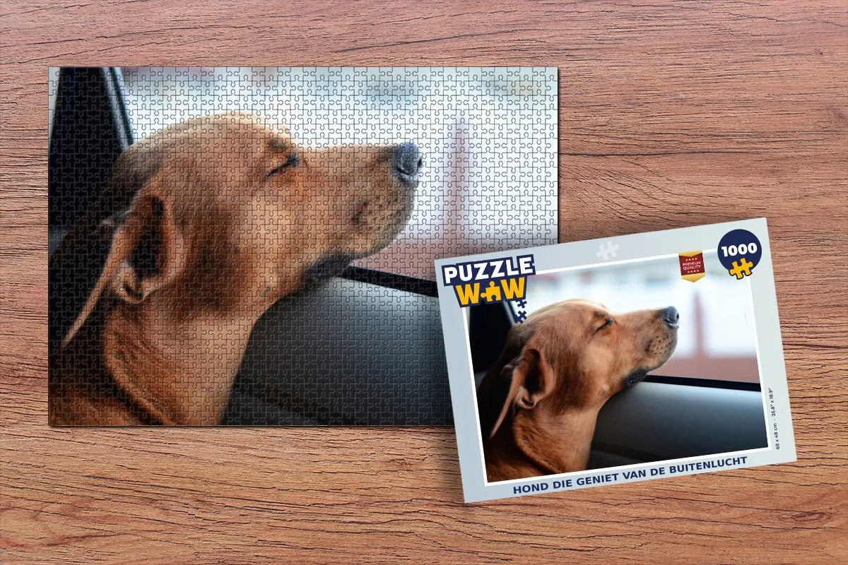 PuzzleWow Legpuzzel 1000 Stuks - Hond in de buitenlucht Multicolor