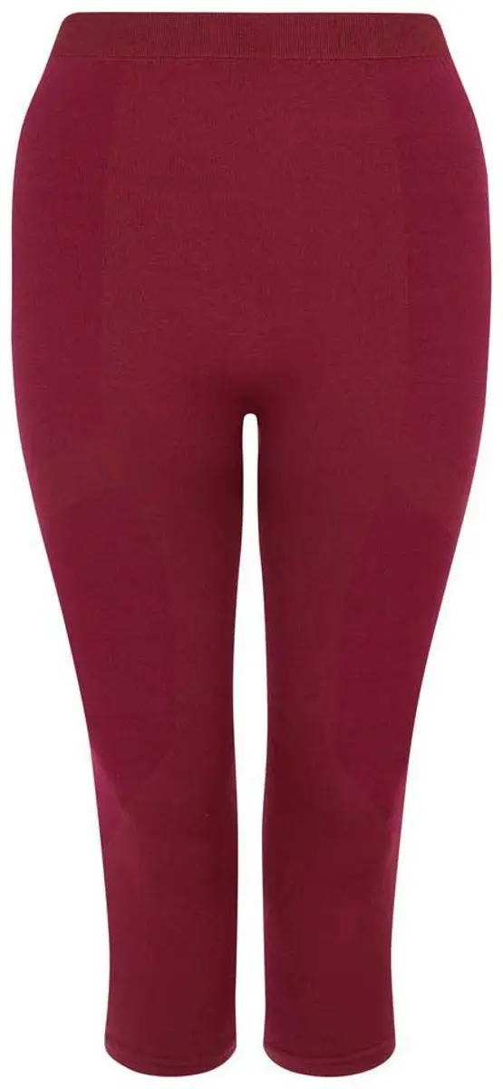 Dare 2b In The Zone II 3/4 Basislaag Broek - Paars L/XL