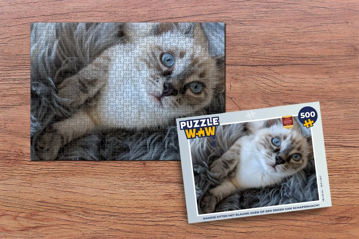 PuzzleWow Siamese Kitten Legpuzzel 500 Stuks - Multicolor