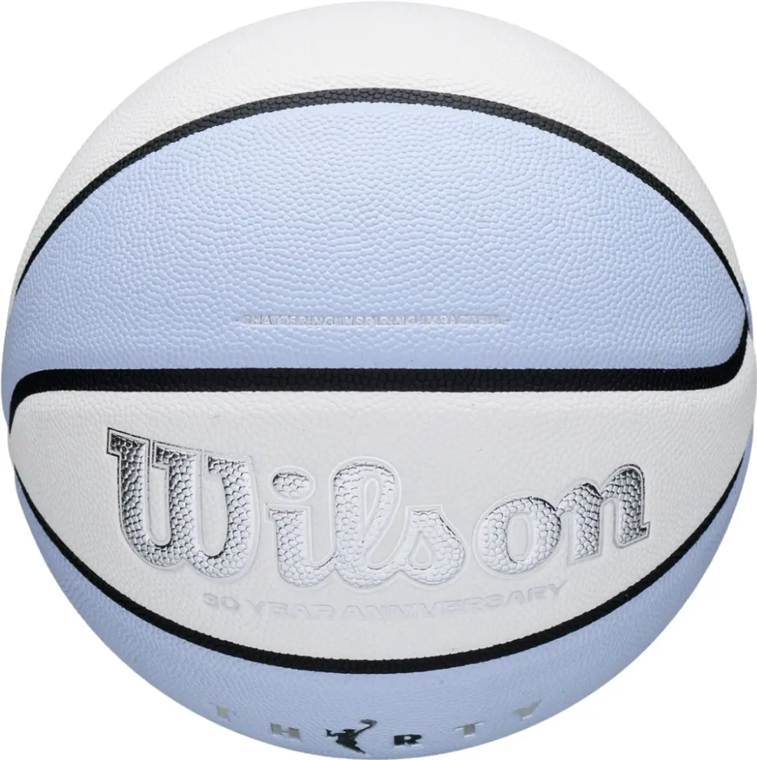 Wilson WNBA 30th Anniversary Legacy Basketbal Maat 6 - Lila/Wit/Zilver - afbeelding 3 van 4