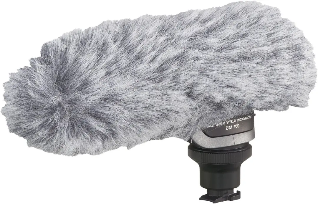 Canon 2591B002 microfoon Zwart