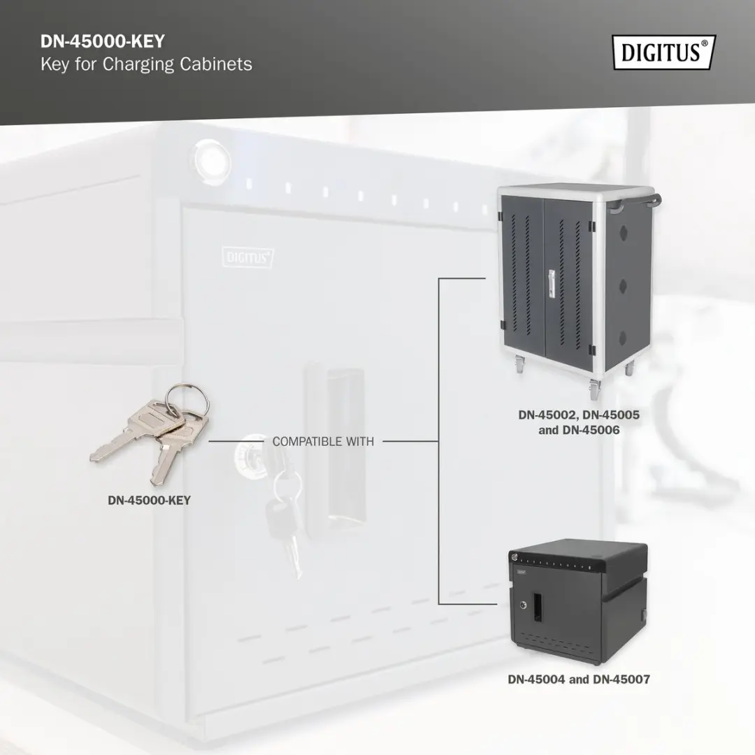 Digitus DN-45000-KEY Vergrendelsleutel - Zilver - afbeelding 4 van 6
