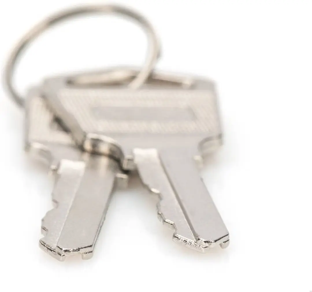 Digitus DN-45000-KEY Vergrendelsleutel - Zilver - afbeelding 6 van 6