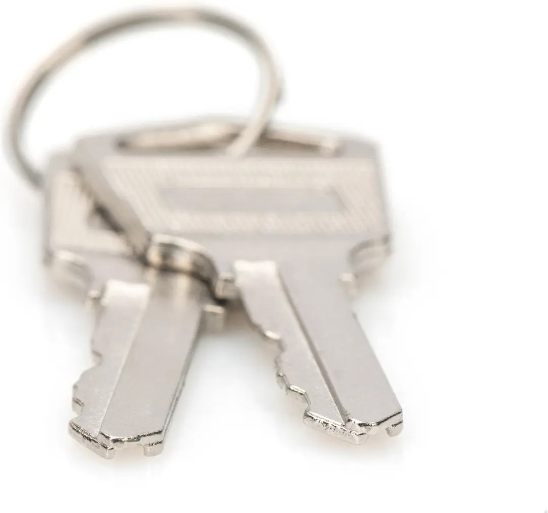Digitus DN-45000-KEY Vergrendelsleutel - Zilver - afbeelding 3 van 6